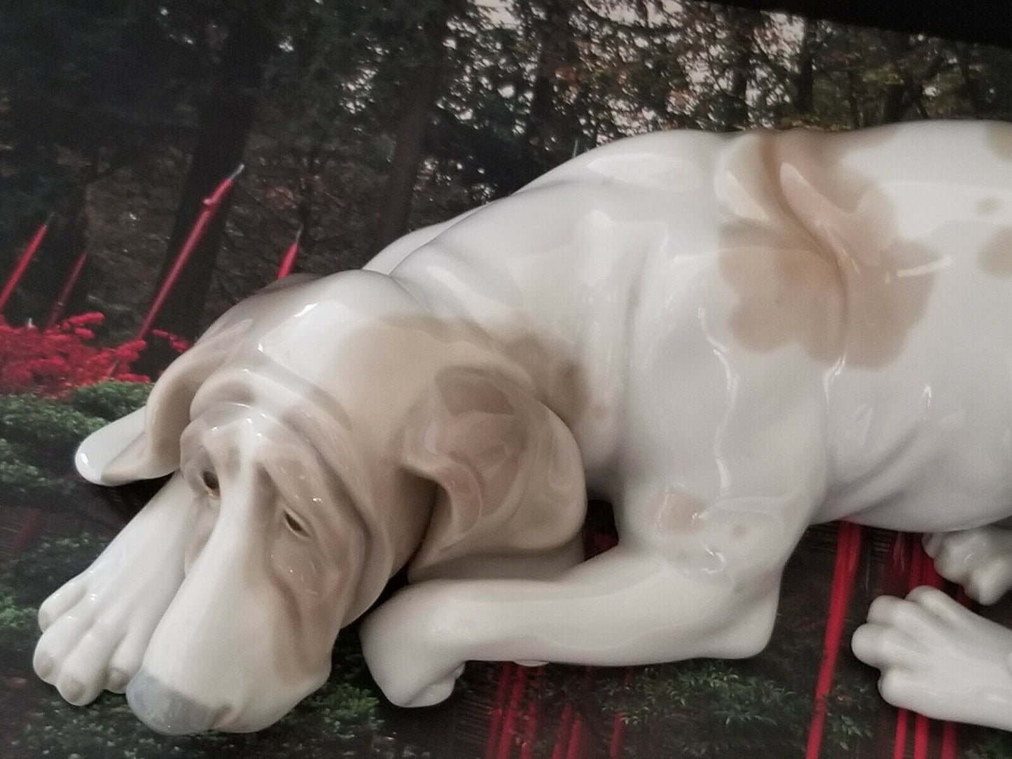 Lladro Old Dog 1067 Blood Hound** 10 " long, ***retired 1978