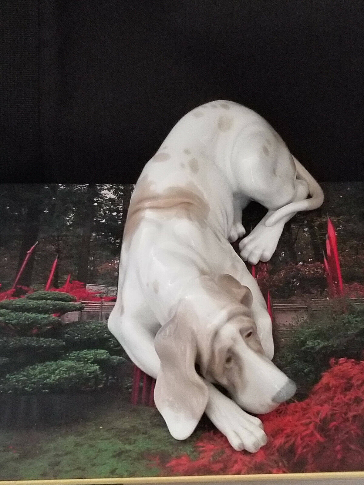 Lladro Old Dog 1067 Blood Hound** 10 " long, ***retired 1978